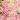 Ice Pink/Multi