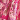 Fuchsia Frost