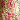 Fuchsia/Gold