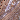 Rose Gold/Multi