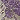 Ivory/Lilac
