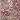 Ivory/Pink