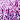Lilac/Purple