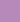 Orchid Orchid