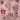 Rose Print