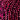 Fuchsia Black