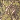 Yellow/Multi