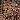 Black Multi