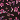 Black-Barbie Pink
