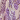 Ivory/Lilac