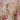 Ivory/Green Pink Print