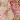 Ivory/Pink/Green Print