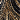 Black/Gold Multi