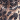 Animal Print