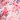 Blush Multi