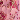 Fuchsia Gold