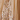 Champagne Gold Ivory