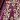 Amethyst/Gold